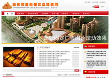 武汉网站建设案例
