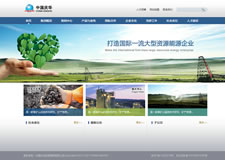 武汉企业网站案例